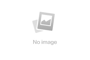 關(guān)于本網(wǎng)站極限詞、絕對性用詞失效的聲明